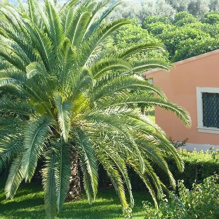 Agriturismo Limoneto-2